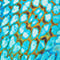 BLACK/ TURQUOISE/ BROWN