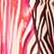PINK/ FUCHSIA/ SCHWARZ