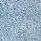 039 Blue Medium Dusty