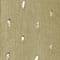 OLIV/ GOLD