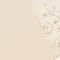BEIGE/ GOLD