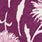 FUCHSIA/ ECRU