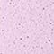 LIGHT PINK/ SILVER