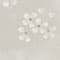 GRIS CLAIR/ BEIGE/ BLANC