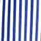 BLUE/ WHITE