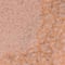 BEIGE/ PINK/ BROWN
