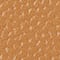 BISCOTTI BEIGE