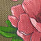 OLIVE/ LIGHT RED
