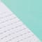 WHITE/ MINT