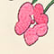 ECRU/ PINK
