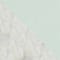 WHITE/ MINT