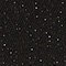801 BLACK