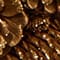 BROWN / GOLD