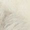 WEISS