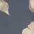 Farbe unbekannt