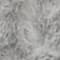 GRAU
