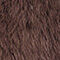 BRAUN