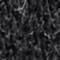 GRAU