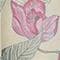 Farbe unbekannt