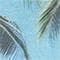 Farbe unbekannt