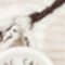WEISS/ CREME