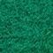 GROEN / WIT