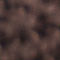 BRAUN